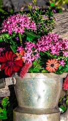 Fotografia de Natureza 