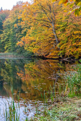 Herbst am See