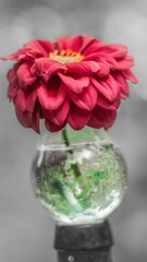 Fotografia de Natureza 