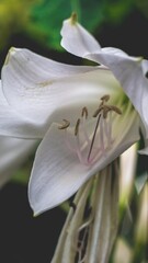 Fotografia de Natureza 