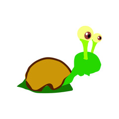 Snail