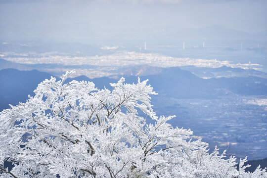 霧氷や樹氷が美しい冬山。厳冬期の石鎚山。