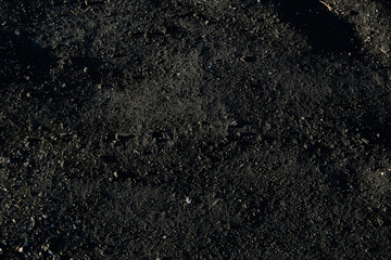 Black soil close-up. The concept of agriculture and the spring season.