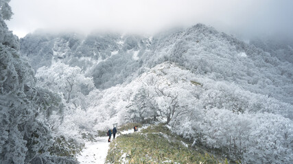 霧氷や樹氷が美しい冬山。厳冬期の石鎚山。