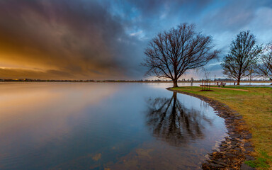 Reflection of tree on the lake