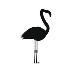 childish illustration of flamingo bird on white background