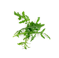 Arugula, Arugula, Ruccola Leaves, Rucola, Eruca or Roquette Salad