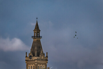 tower ormond college