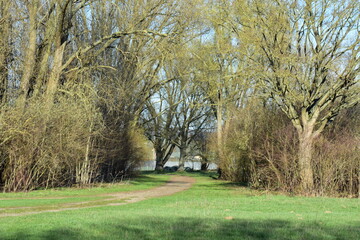 Obraz premium Pflanzen, Blumen, Bäume und viel Grünes aus Kassel.