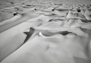 Fototapeta na wymiar Black and white photograph of a snowy shape. Arctic winter tundra. White snow after the wind
