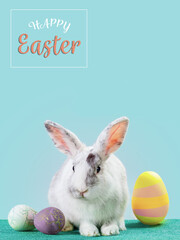 Fluffy easter bunny whith colored Easter eggs. Happy Easter.