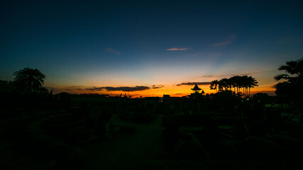 Silhouettes of palm trees landscape