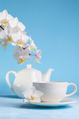 Spring tea with orchid.