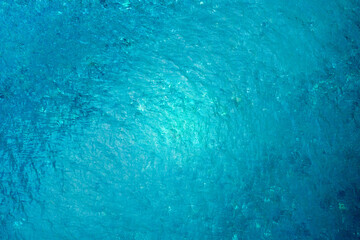 The beauty of the sea