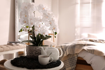 Beautiful white orchids and tea set on table in room, space for text