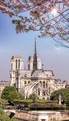 Paris, Notre Dame cathedral with boat on Seine during spring time in France