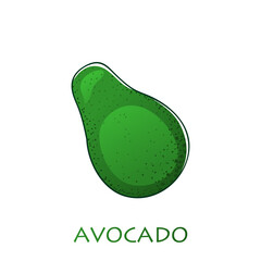 Avocado fruit icon inside. Vector illustration cartoon flat icon isolated on white.