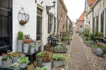 Fototapeta na wymiar Flower filled window boxes. Urban gardening landscaping design. floral decor of the house territory in the old European town, pots of flowers near the entrance to the house. Elburg, Netherlands.