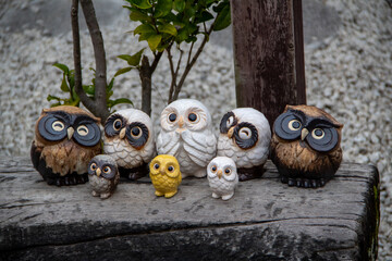 Owls sitting on a branch