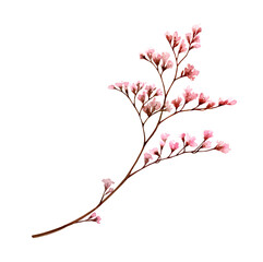 Watercolor branch with small pink flowers. Bouquet element isolated on white. Hand painted vintage artwork. Botanical illustration for cards, wedding design