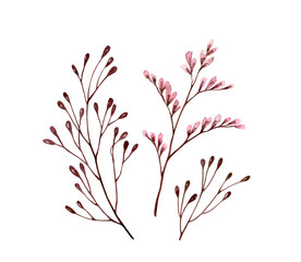 Watercolor branches. Set of florals with small pink flowers. Bouquet element isolated on white. Hand painted vintage artwork. Botanical illustration for cards, wedding design