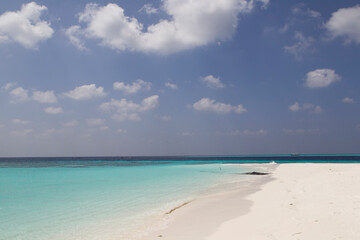 Portrait of Maldives Beach