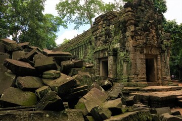 Overgrown tree at Ta Prohm Temple in Angkor Thom, Siem Reap, Cambodia
