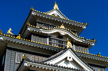 Fototapeta premium 岡山城天守