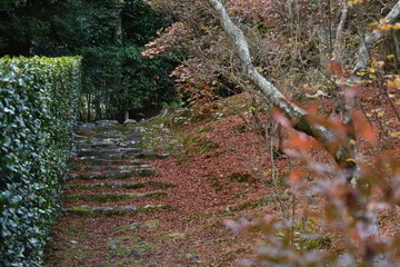 滋賀県の良いところ