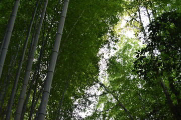 滋賀県の良いところ