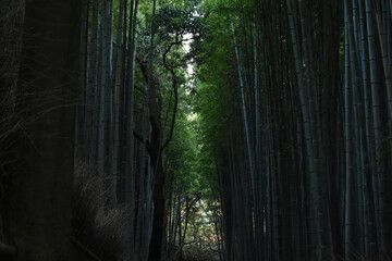 滋賀県の良いところ