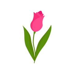 Pink flower bud on a green stem with leaves isolated on a white background. Template for greeting cards, banners for Valentine's Day, March 8, Birthday, Wedding. Vector illustration. Cartoon style