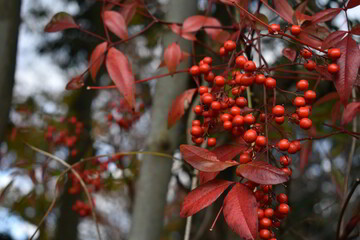滋賀県の良いところ