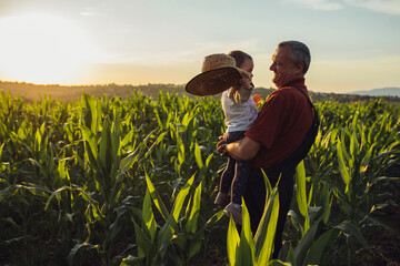 Happy family in corn field. Family standing in corn field an looking at sun rise