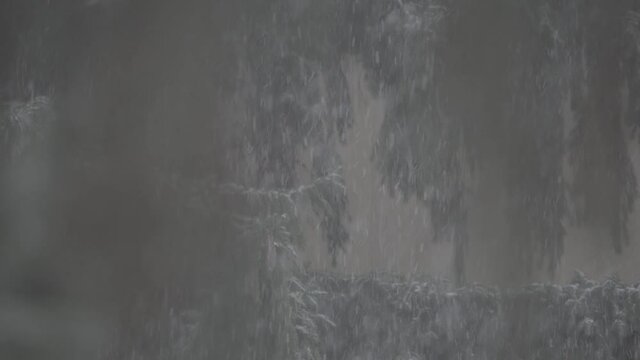 Fichte Ast Schneefall_4K_SLog3_005