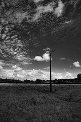 Telephones Poles in a Field