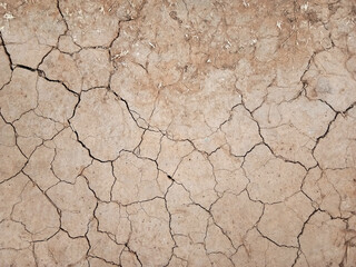 The ground has cracks in the top view for the background