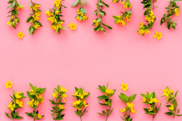 Wild spring flowers top view. Floral frame with space for text