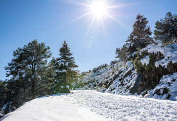 Beautiful snowy landscape on a sunny day in the mountains.
Snow and sun.