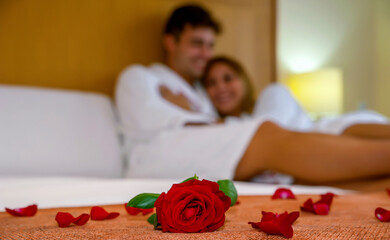 Red rose and rose petals set on a bed in the foreground with attractive Caucasian couple smiling in the out-of-focus background, romantic atmosphere expressing love, gentle emotions and togetherness