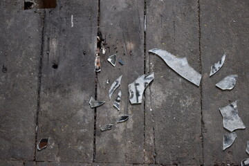 La fragilidad de la vida