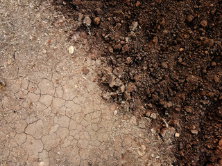 The ground has cracks in the top view for the background