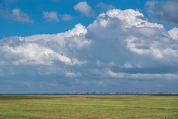 Landscape with salt marshes by Fedderwardersiel