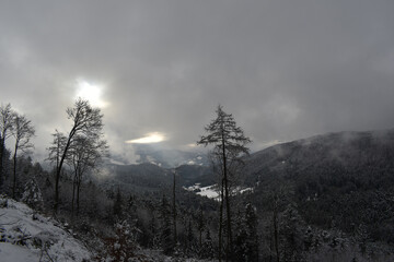 Dramatische Wolken über winterlicher Wald Landschaft mit Nebel und Bergen