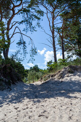 Access to the sea beach via a sand dune..
