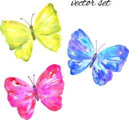 Colorful vector butterflies: yellow, pink, blue. Hand drawn watercolor illustration. Isolated on white background.