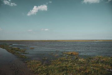 Coming tide in the salt marshes by Fedderwardersiel