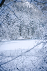 wunderschön verschneite winterlandschaft im Salzburger Land