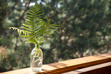 Fern leaves in a transparent vase bottle stand on an old wooden windowsill against the background of a green garden. Spring and summer rural landscape.