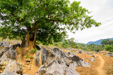 Photo of Tua Chua Stone Plateau, Tua Chua District, Dien Bien Province, Vietnam